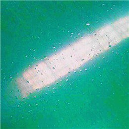 ʩֳ-ܷ̻ƺ